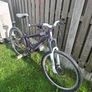 Bike Image 2