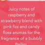 Yankee Candle Berry Kiss Bellini Wax melts Image 3
