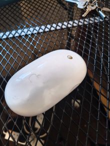 Apple mouse