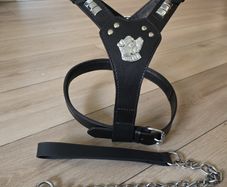dog leather harness with free chain lead