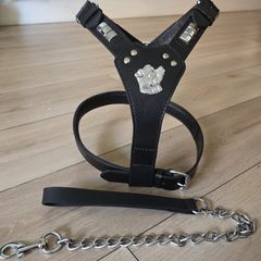 Dog Leather Harness with free chain lead