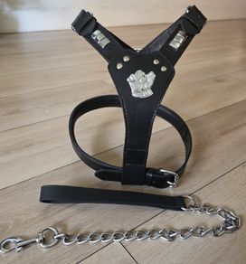 Dog Leather Harness with free chain lead