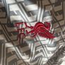 BNWT liverpool Nike short sleeve training top XXL Image 5