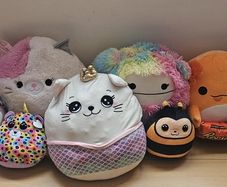 squishmallows, teddys ( pug, pokemon)& baby yoda