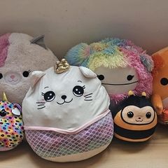 squishmallows, teddys ( pug, pokemon)& baby yoda