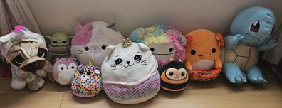 squishmallows, teddys ( pug, pokemon)& baby yoda