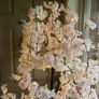 New XL 210cm high fully lit hanging blossom tree Image 6