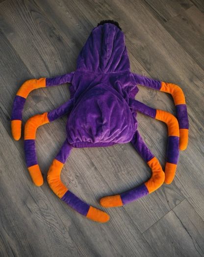 Spider costume