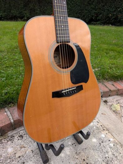 Ibanez PF10 Acoustic Guitar