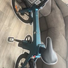 Fiido X Folding Electric Bike