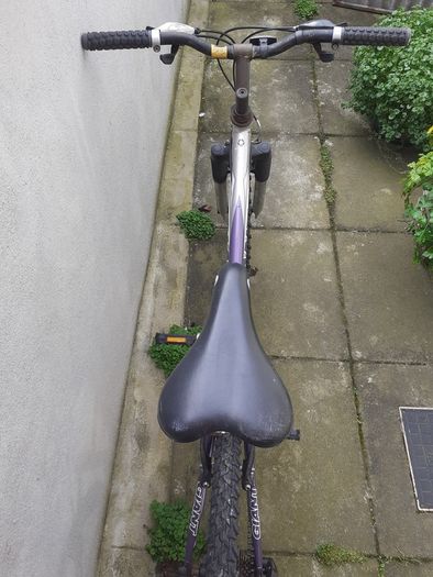 Giant Rock Aluxx 6000 Girl's Bike
