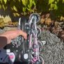 Rollerscates Image 3