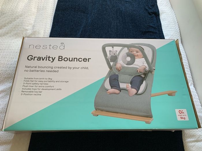 Nested Gravity Bouncer (Excellent Condition in box)