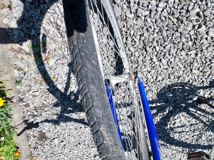 Gold Rush Road Bike