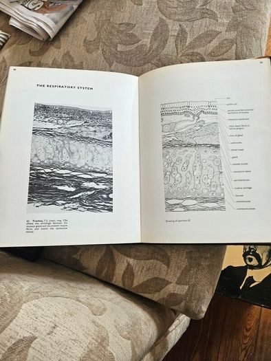 An Atlas Of Histology. By W.h. Freeman And Brian Bracegirdle. Second Edition Large Volume Hardback With Dustjacket.  Book In Good Condition.  Dustjacket Tatty.  See Photos For Same.