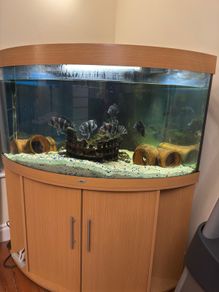 fish tank