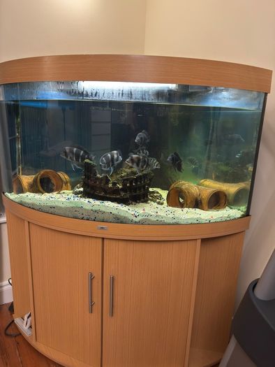 fish tank