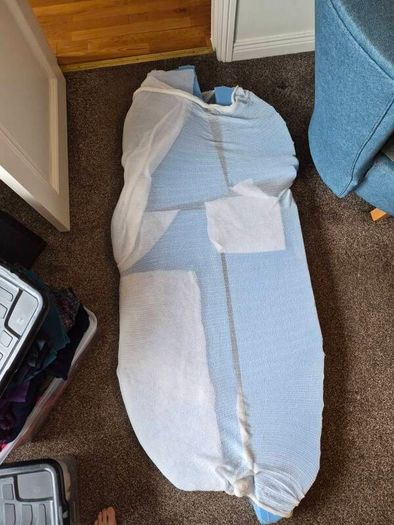 free upholstery foam