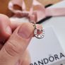 Pandora lucky charm new Image 3