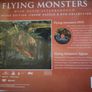 David Attenborough Flying Monsters DVD and jigsaw puzzle new gift Image 2