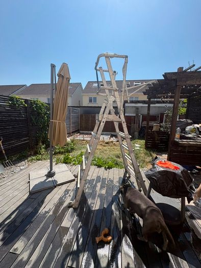 platform ladder