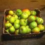 Cooking Apples Image 3