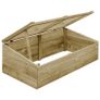 Greenhouses 2 pcs Impregnated Pinewood 100x50x35 cm Image 3