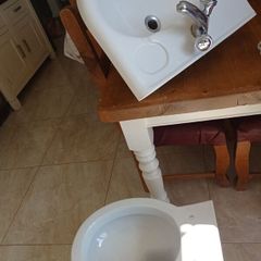 sink and toilet taps