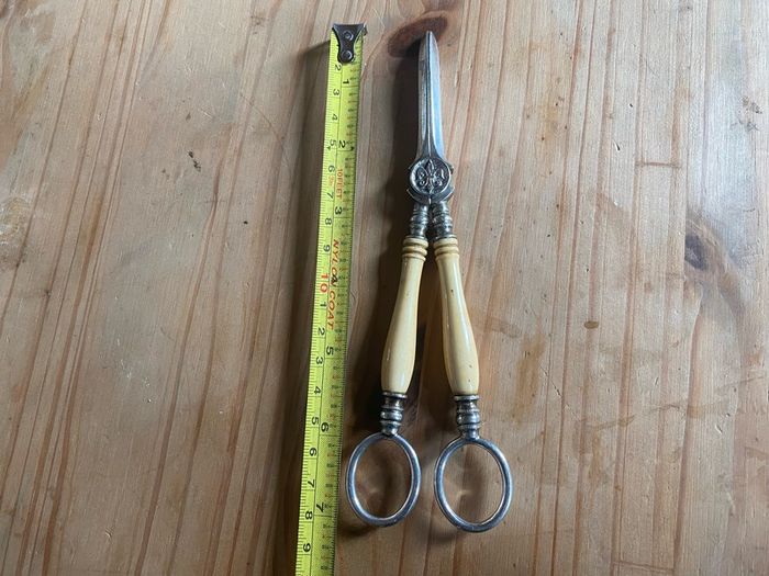 Vintage Silver Plated Grape Scissors Bone Handle