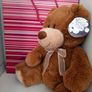 new teddy with tag in gift bag Image 3