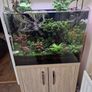 Complete Planted Aquarium Setup & Oak Cabinet Image 3