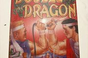 Double Dragon Sign