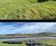 Silage Bales