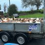 Firewood for sale Image 6