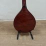 10 String Mandolin Image 4