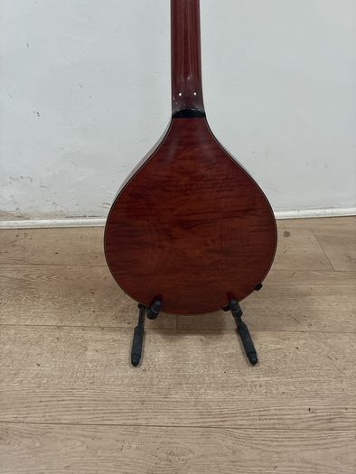 10 String Mandolin