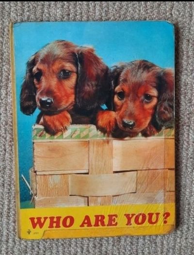 Vintage Children's book 'Who Are You?'
