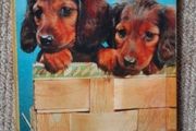 Vintage Children's book 'Who Are You?'
