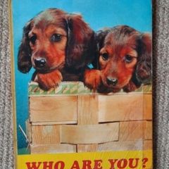 Vintage Children's book 'Who Are You?'