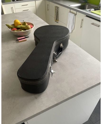 Paul Hathway Handmade  Mandolin