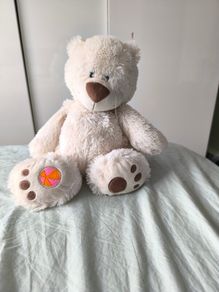 buddy ball teddy