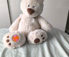buddy ball teddy