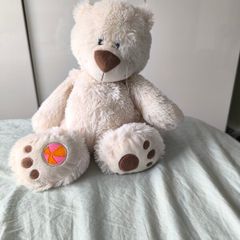 buddy ball teddy