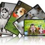 Personalised Sony Xperia Z4  cover Image 2