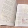 Basic Carpentry Projects from the Mini Workbook Series Image 7