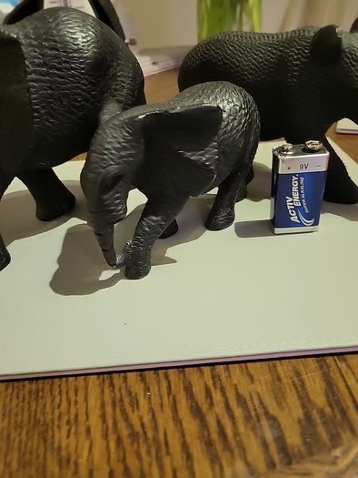 African Animals