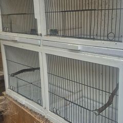 Double breeding cages