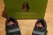 Hush Puppies boys shoes size EU23 (6)- new in box