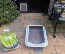 Cat Litter Tray