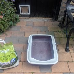 Cat Litter Tray